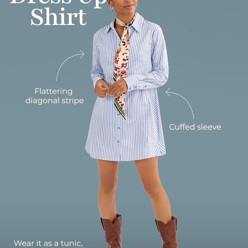 CAbi Blue Striped Long Sleeve Dress sold out Spring 25 new small